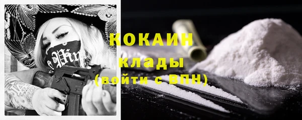 твердый Алексин