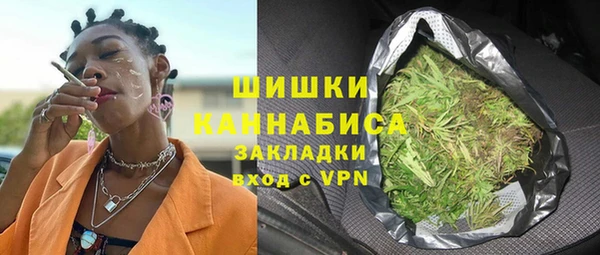 твердый Алексин