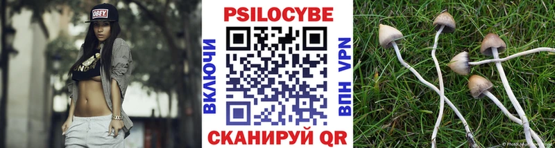 хочу   Апшеронск  Псилоцибиновые грибы Psilocybine cubensis 