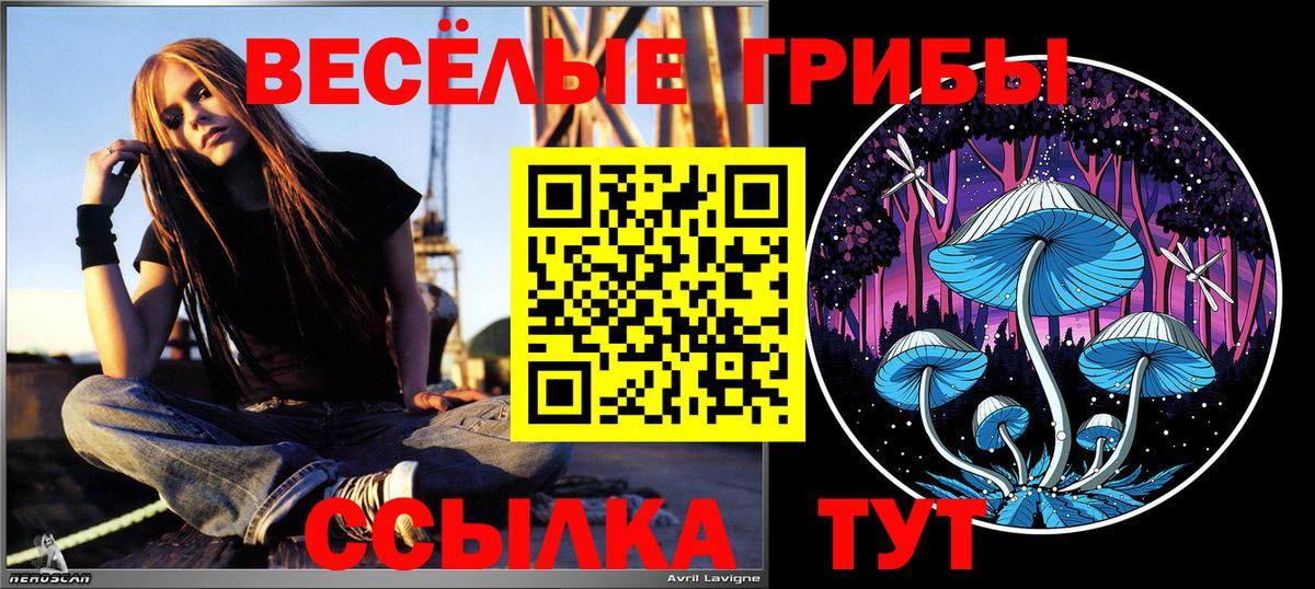 Галлюциногенные грибы мухоморы  купить   Апшеронск  Галлюциногенные грибы Cubensis  Вход с VPN 